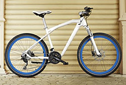BMW Cruise Bike