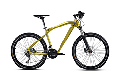 BMW Cruise M Bike Limited Edition