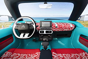 Cactus M - Interieur