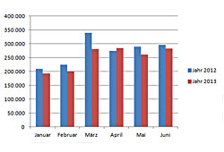 Neuzulassungen - Januar bis Juni 2013
